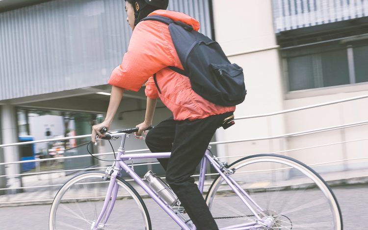 BALLAD - FUJI BIKES フジ自転車